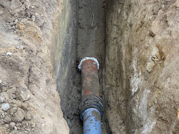 Best Flood restoration services  in Holualoa, HI