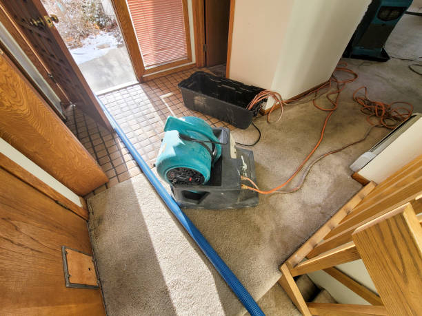 Best Emergency water damage restoration  in Holualoa, HI