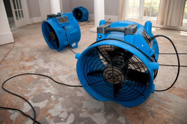 24/7 water damage repair in Holualoa, HI