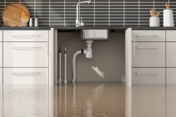 Best Water damage restoration near me  in Holualoa, HI