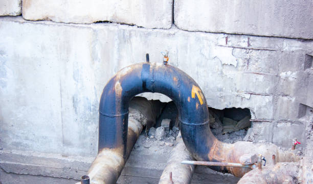 Best Water damage repair service  in Holualoa, HI