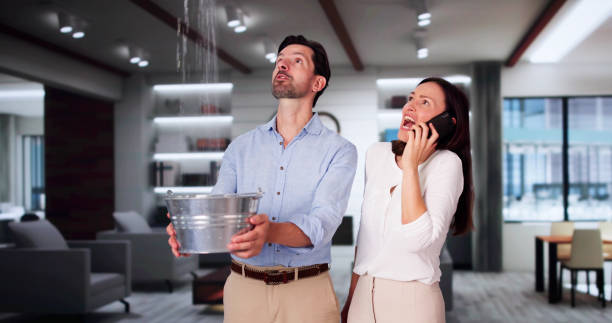 Best Sewage cleanup and water damage restoration  in Holualoa, HI